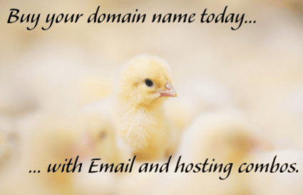 Buy combonation email, domain, hosting plan