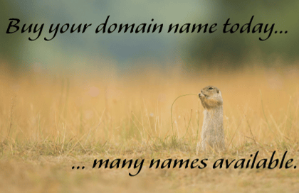 Buy Domain name.